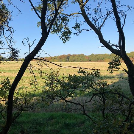 Old Hunters Lodge Whipsnade Limited Экстерьер фото