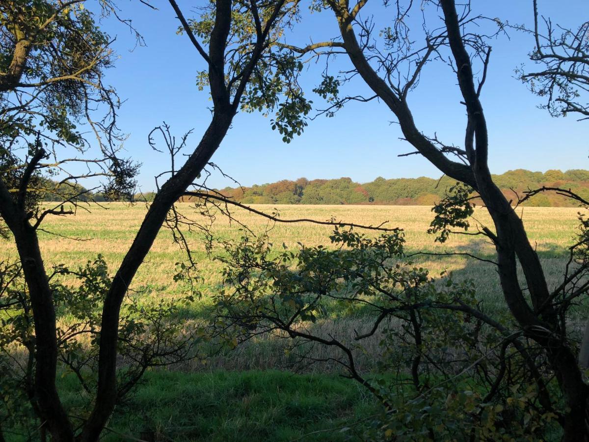 Old Hunters Lodge Whipsnade Limited Экстерьер фото